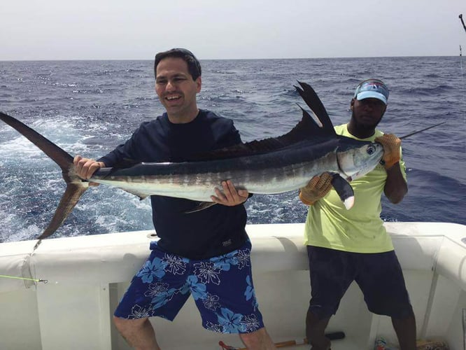 Punta Cana Deep Sea Fishing In Punta Cana