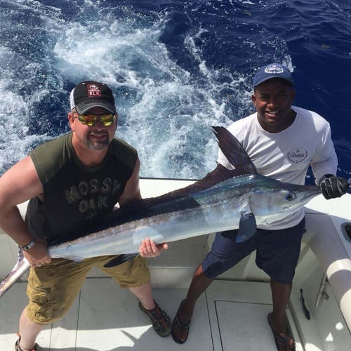 Punta Cana Deep Sea Fishing In Punta Cana