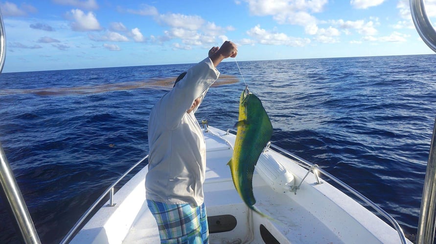 Punta Cana Deep Sea Fishing In Punta Cana