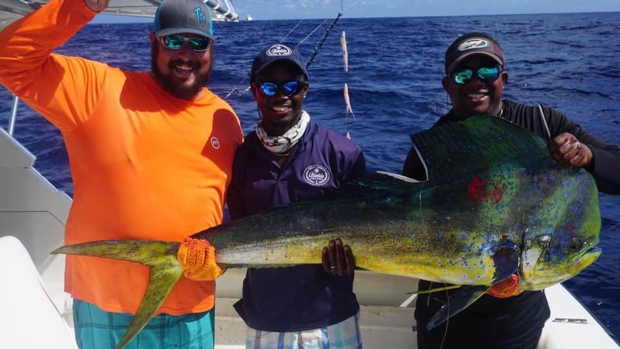 Punta Cana Deep Sea Fishing In Punta Cana