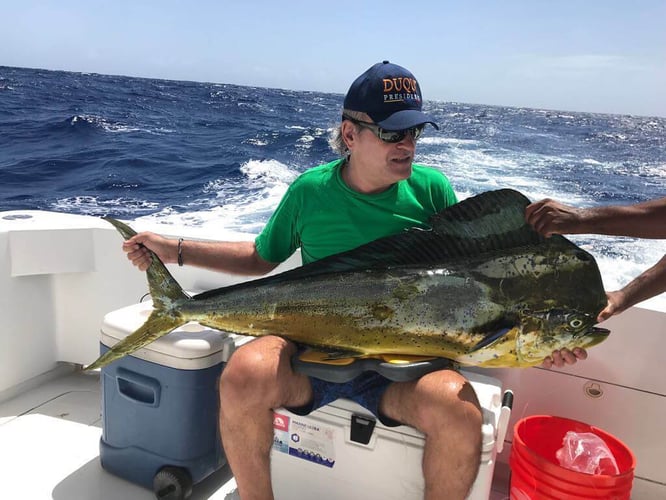 Punta Cana Deep Sea Fishing In Punta Cana