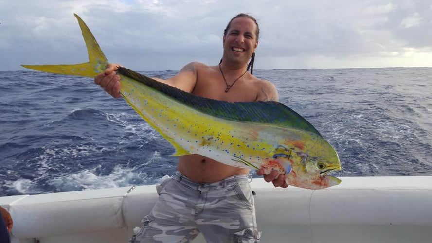 Punta Cana Deep Sea Fishing In Punta Cana