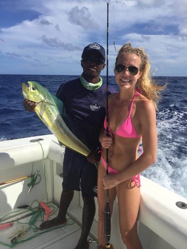 Punta Cana Deep Sea Fishing In Punta Cana