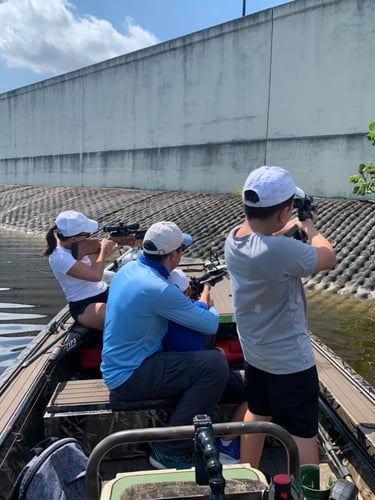 Iguana And Goose Hunt With Retrieval Dog In Plantation