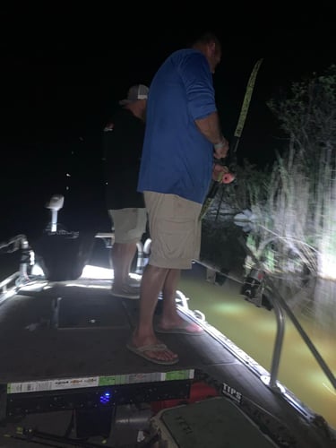 Ft. Lauderdale Bowfishing And Gigging Trip In Plantation