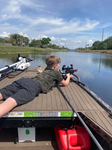 Iguana And Goose Hunt With Retrieval Dog In Plantation