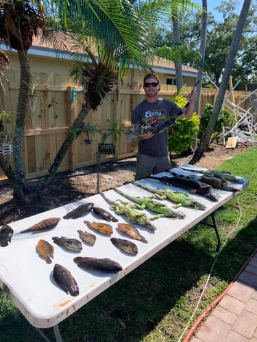 Iguana Hunt/Peacock Bass Combo With Retriever Dog In Plantation