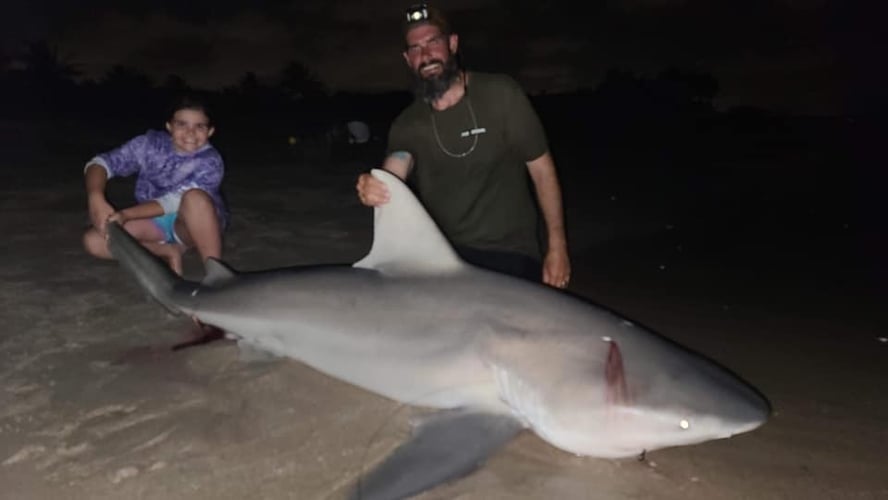 Monster Shark Trip In Fort Lauderdale