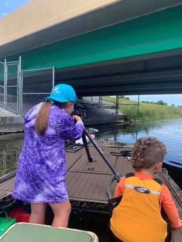 Iguana And Goose Hunt With Retrieval Dog In Plantation