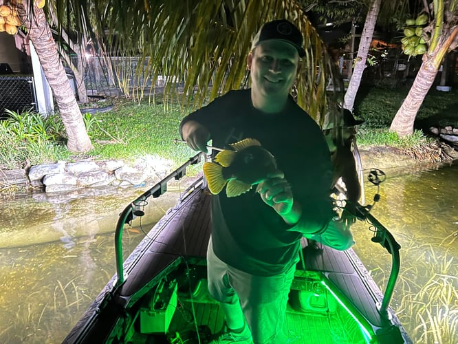 South Florida Nighttime Gigging Trip in Plantation