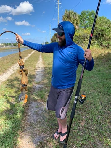 Iguana And Goose Hunt With Retrieval Dog In Plantation