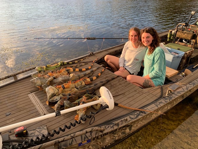 Iguana And Goose Hunt With Retrieval Dog In Plantation