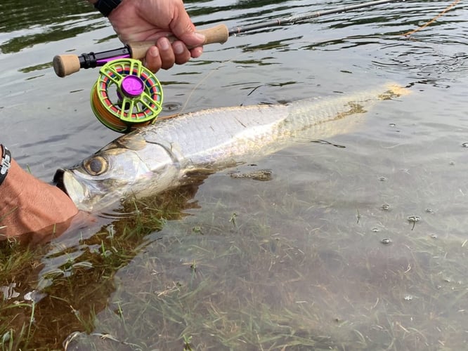 Jupiter Inlet On the Fly in Jupiter