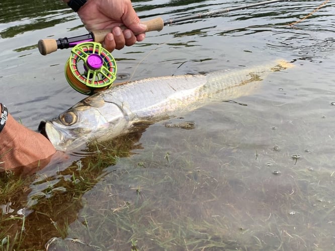 Tactical Inshore Assault in Jupiter
