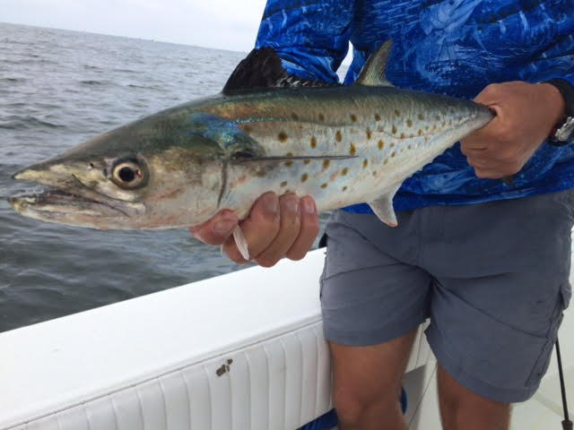 Jupiter Inlet On the Fly in Jupiter