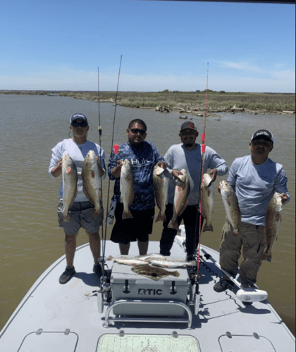 Matagorda Bay Catch And Release In Bay City