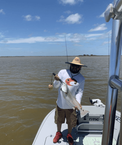 Matagorda Bay Catch and Release in Bay City