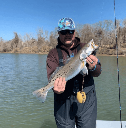 Matagorda Bay Catch And Release In Bay City