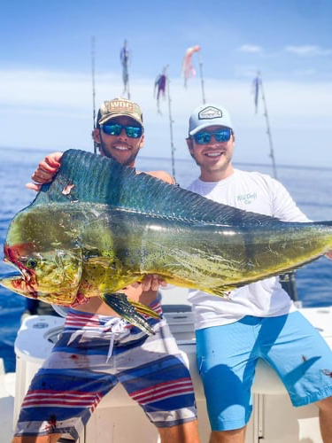 Mahi Mahi Special - 35’ Everglades In Charleston