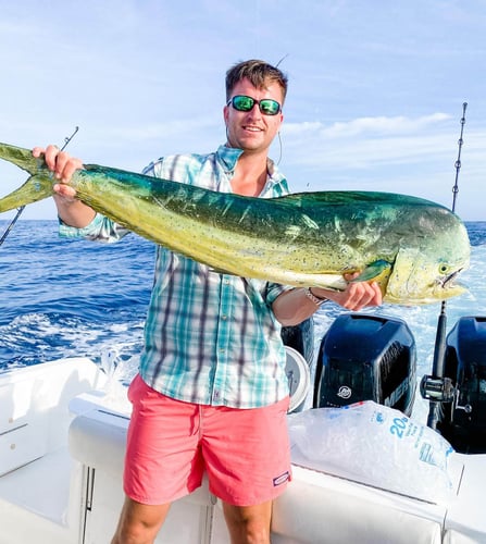 Mahi Mahi Special - 35’ Everglades In Charleston