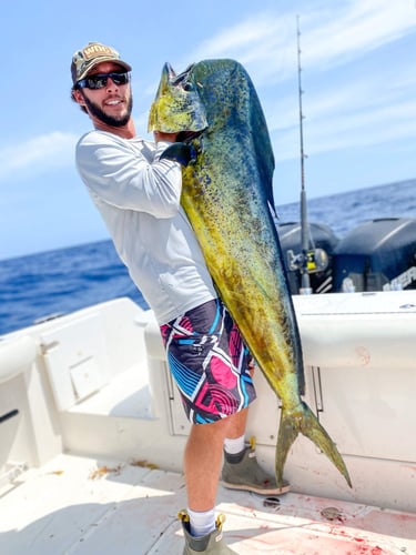 Mahi Mahi Special - 35’ Everglades In Charleston