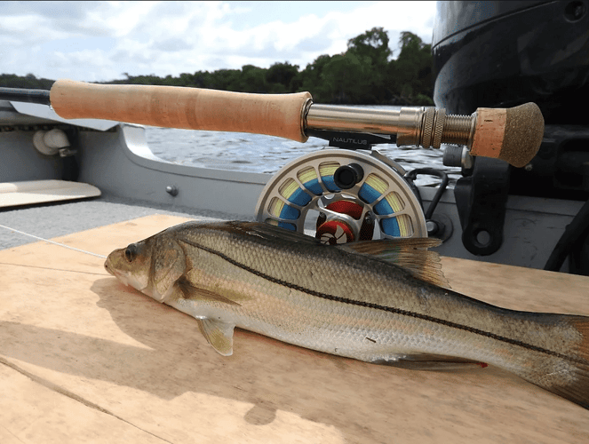 Tabasco Snook & Tarpon Special In Frontera