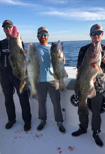 "Captain's Favorite" Offshore Trip in Fort Walton Beach