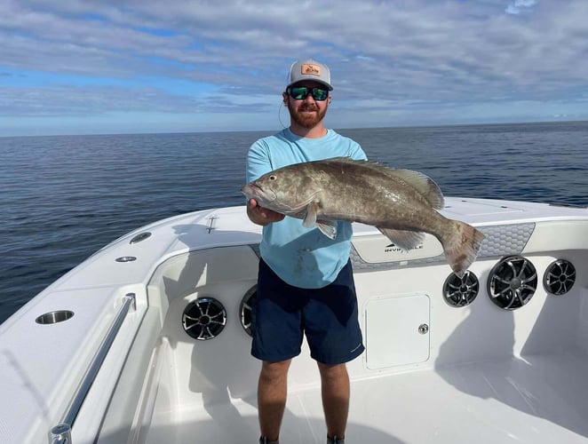 "Captain's Favorite" Offshore Trip in Fort Walton Beach