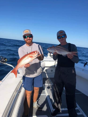 "Captain's Favorite" Offshore Trip in Fort Walton Beach