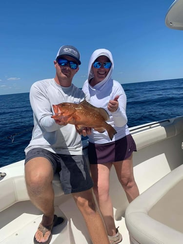"Captain's Favorite" Offshore Trip in Fort Walton Beach