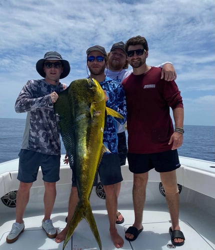 Chasing Trophies In Destin In Destin