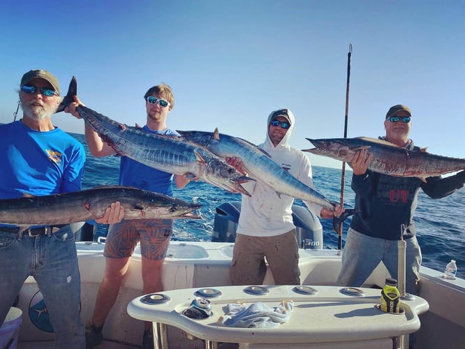 Overnight Cocodrie Trip In Chauvin