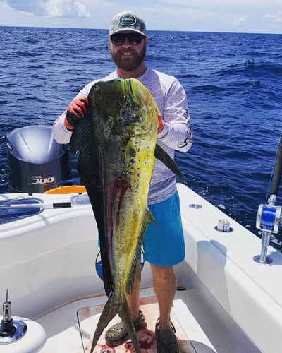 Chasing Trophies In Destin In Destin