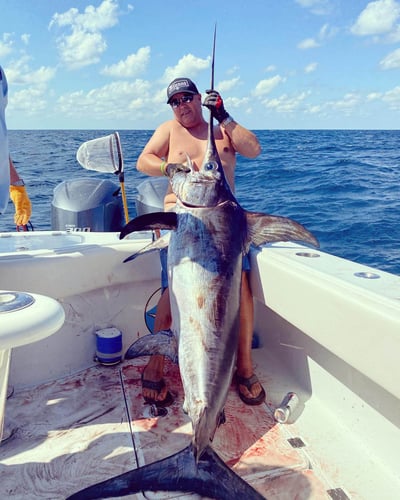 Chasing Trophies In Destin In Destin