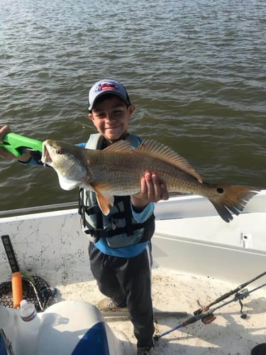 Clear Lake Redfish Rodeo in Clear Lake Shores