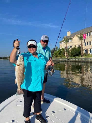 Clear Lake Redfish Rodeo in Clear Lake Shores