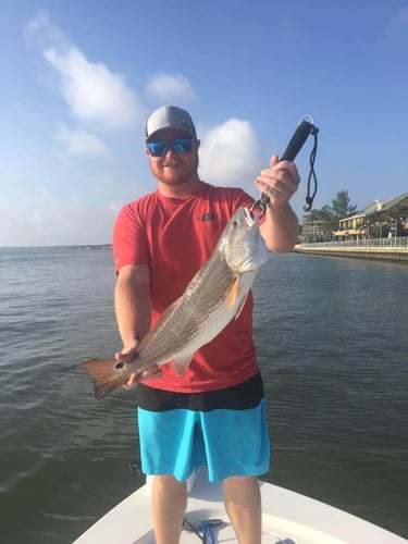 Clear Lake Redfish Rodeo in Clear Lake Shores