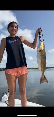 Clear Lake Redfish Rodeo in Clear Lake Shores