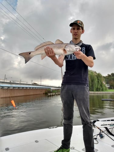 Clear Lake Redfish Rodeo in Clear Lake Shores