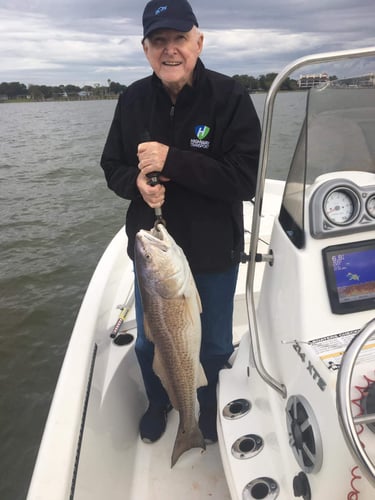 Clear Lake Redfish Rodeo in Clear Lake Shores