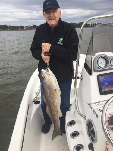 Clear Lake Redfish Rodeo In Clear Lake Shores