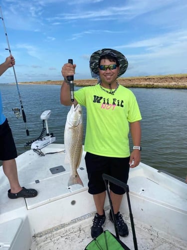 Clear Lake Redfish Rodeo in Clear Lake Shores