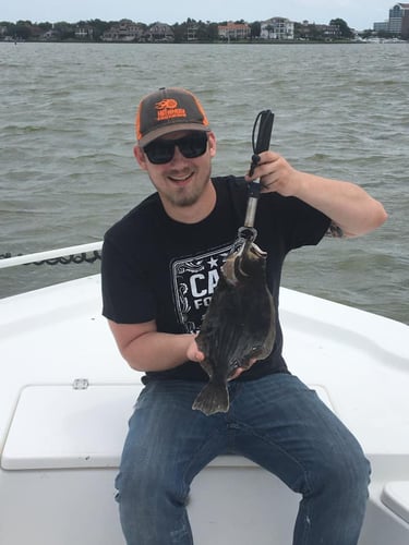 Clear Lake Flounder Special In Clear Lake Shores