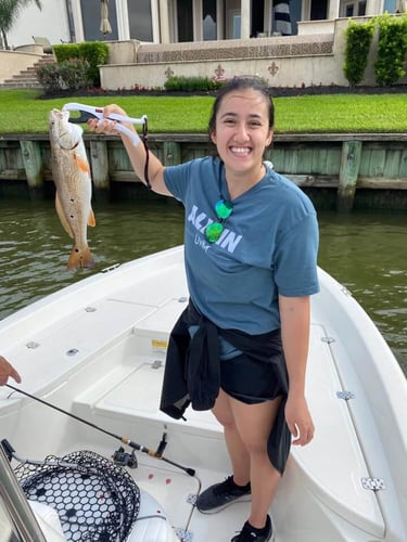 Clear Lake Redfish Rodeo In Clear Lake Shores