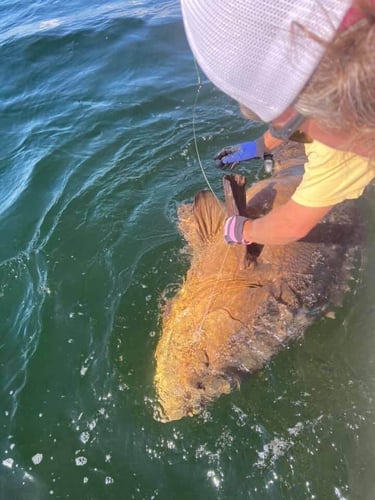 Gulf Side Nearshore Trip in Shalimar