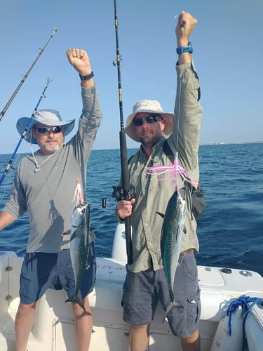 Gulf Side Nearshore Trip in Shalimar