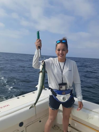 Gulf Side Nearshore Trip in Shalimar