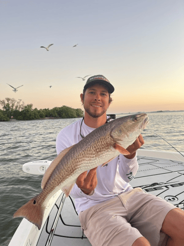 Sunny Fishing On Tampa Bay In Belleair Bluffs