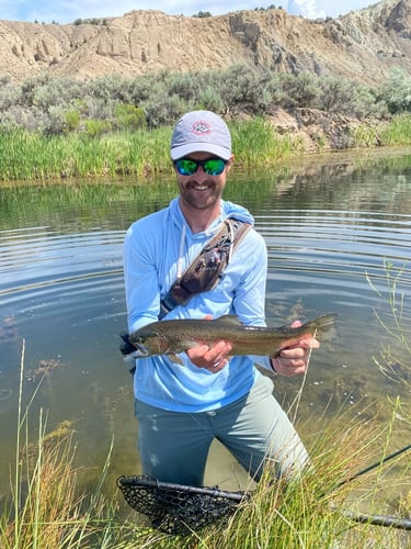 Eagle River Fly Fishing In Eagle