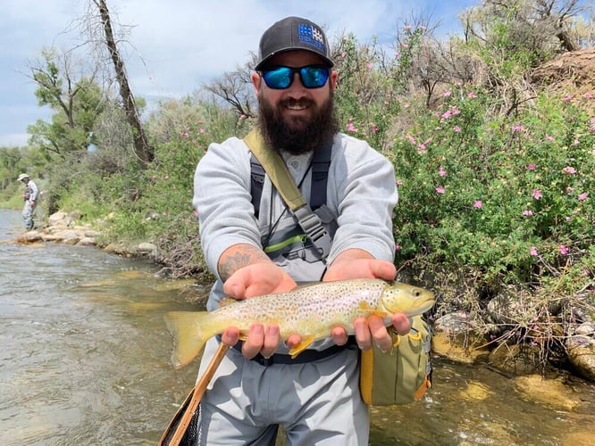 Eagle River Fly Fishing In Eagle